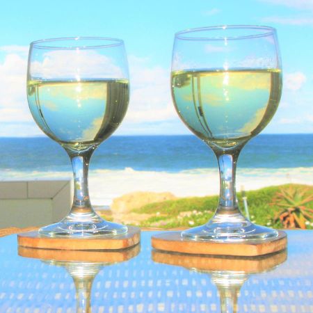 Beachfront House - Hermanus Whale View Villa Ngoại thất bức ảnh