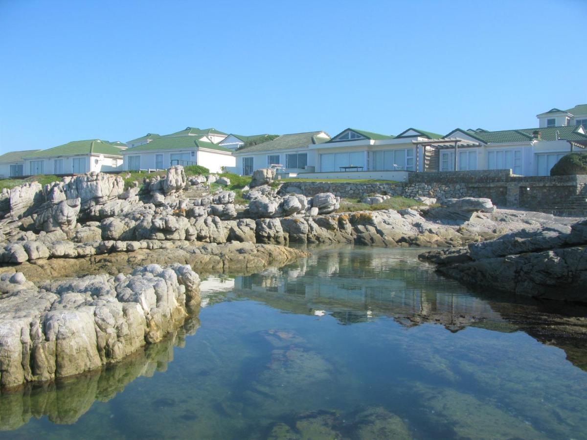 Beachfront House - Hermanus Whale View Villa Ngoại thất bức ảnh