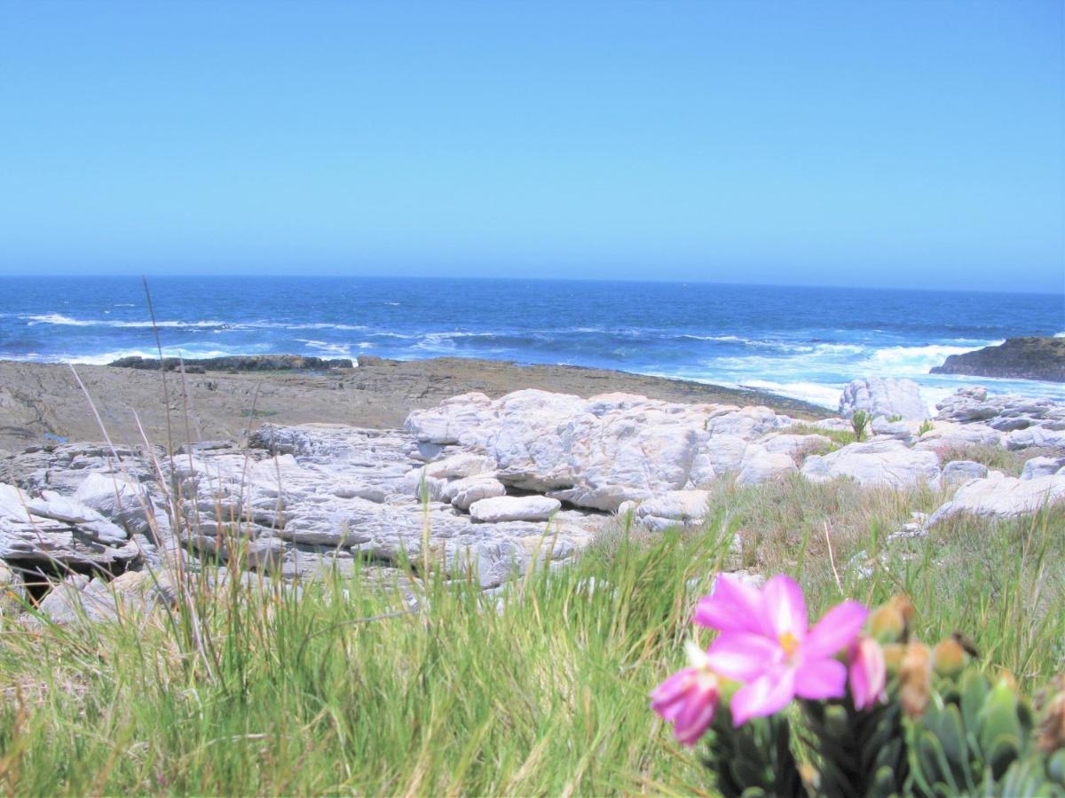 Beachfront House - Hermanus Whale View Villa Ngoại thất bức ảnh