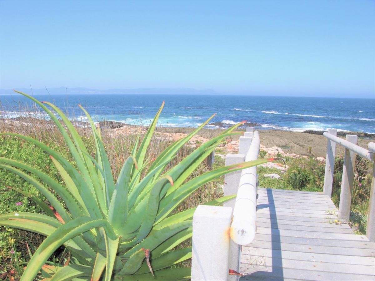 Beachfront House - Hermanus Whale View Villa Ngoại thất bức ảnh