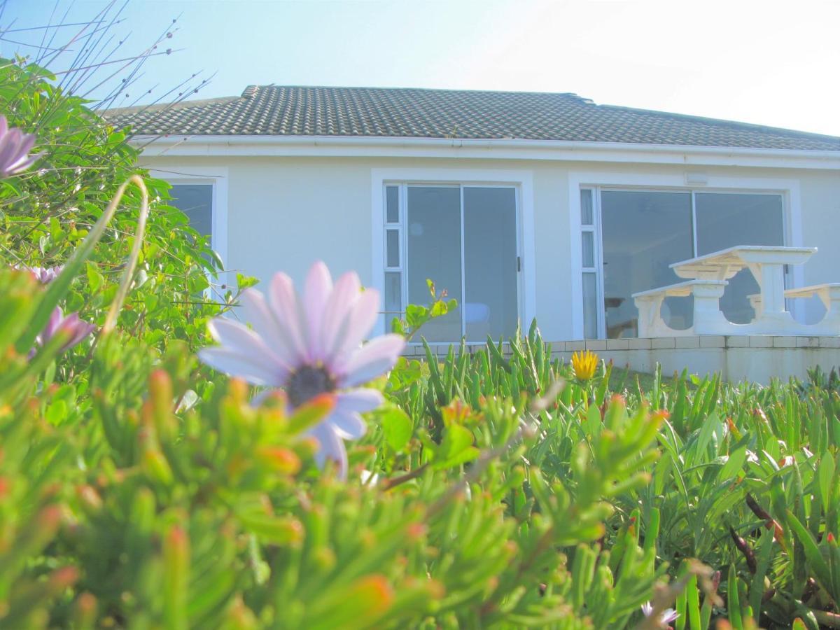 Beachfront House - Hermanus Whale View Villa Ngoại thất bức ảnh