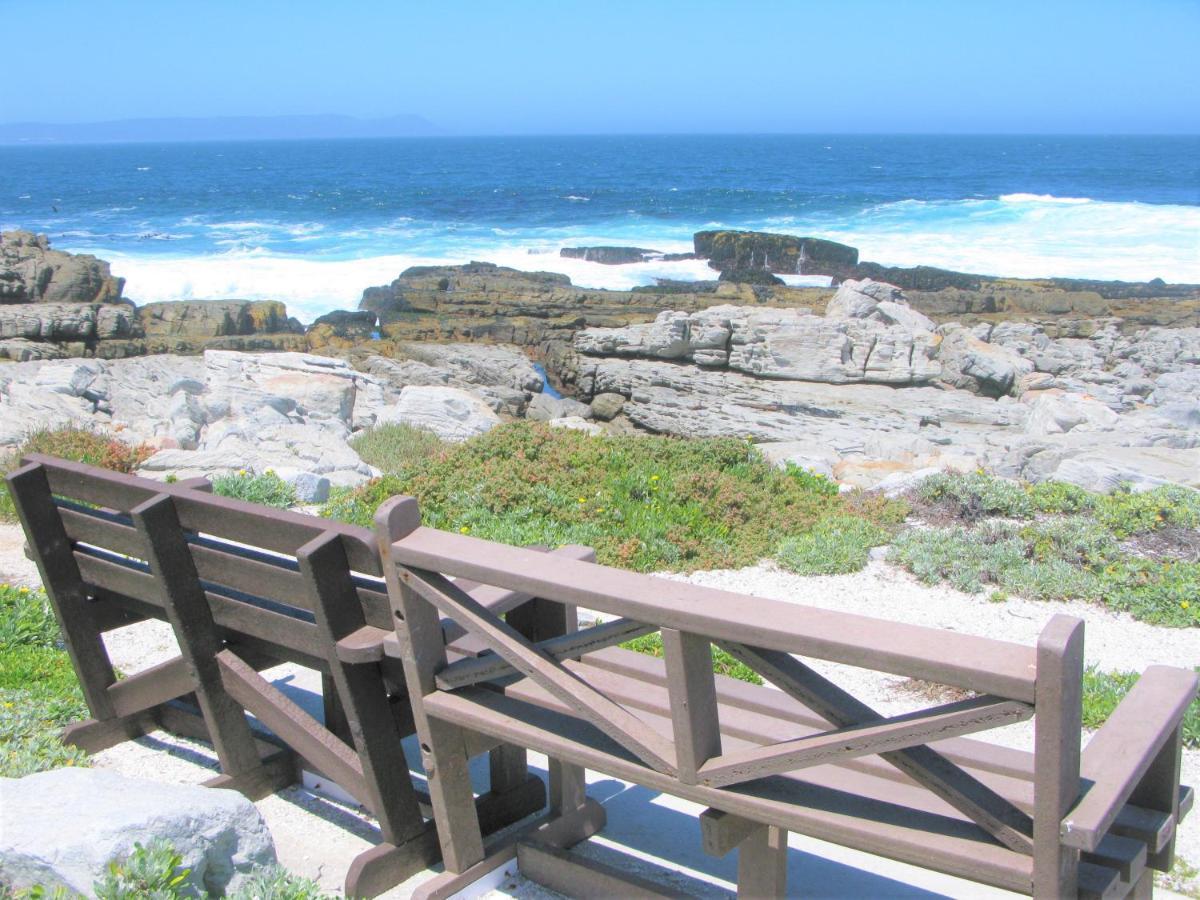 Beachfront House - Hermanus Whale View Villa Ngoại thất bức ảnh